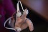 GTRI's Haptic Device is called LiGHT-VR