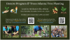 A flyer for the Honors Program tree planting volunteer event on November 18th, 2023. 