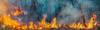African wildfire