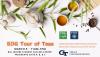 event graphic for SDG Tour of Teas