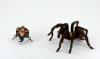 Can this small robot outrun a spider? Photo Credit: Animal Inspired Movement and Robotics Lab, CU Boulder.