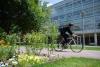 Cyclist on Georgia Tech's Campus 