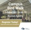 Oct 4th Bird Walk 