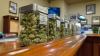 Jars of cannabis on display at a dispensary.