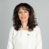 Pinar Keskinocak, Named ISyE School Chair