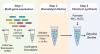 “Part of what makes a cell-free system so efficient,” Westenberg says, “is that it can use cellular enzymes without needing the cells themselves. By generating the enzymes and combining them in the lab, the system can directly convert carbon dioxide into the desired chemicals.”