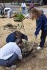 students planting trees to celebrate Georgia Arbor Day