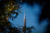 The Kessler Campanile