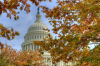 Georgia capitol building in autumn