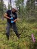 Collecting samples.
