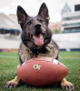 Pepper poses with a Georgia Tech football. 
