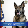 End of Watch for Pepper