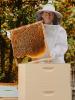 Woman standing with a honeycomb.