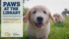 Paws April 29