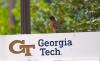 American Robin sitting on Georgia Tech sign 