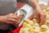 A worker uses automated machinery to vaccinate a baby chick