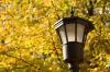 A lamppost and yellow fall tree leaves in the background.
