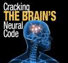 Brain rotator