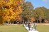Campus fall foliage
