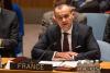 French Ambassador Araud