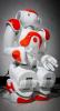 Aldebaran Robotics' Nao