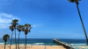 Wide shot of Manhattan Beach in LA, with palm trees, the pier, dark blue ocean and lighter blue sky
