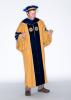 Georgia Tech Doctoral Regalia