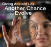 Giving Life Another Chance to Evolve Rotator