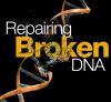 Broken DNA image