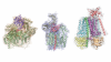 A 3D rendering of the structures of three protein complexes, predicted from protein sequences by AF2Complex.