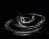 Spiraling Black Holes