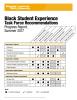 Black Student Experience Task Force Recommendations Progress Report, Summer 2017