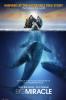 Big Miracle Movie Poster