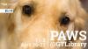 PAWS Spring 2017