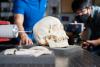 Graduate students set up vibration experiments on a skull.