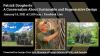 Patrick Dougherty: A Conversation About Sustainable and Regenerative Design January 14 2021 at 11 am Facebook Live Presented by Georgia Tech Arts, Museum of Design Atlanta and Serenbe.  Three separate photographic images are laid out on a black background.  The center image is a smiling man wearing a faded cap and green t-shirt, stands surrounded by branches.  He is seen from the waist up, his gloved hands working the branches in front of him. The images on either side are of large sculptural structures mad