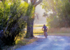 Person biking around a bend in a dirt road in the woods