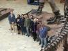 HSTS grad students at the Fernbank Museum
