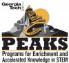 Logo for the CEISMC PEAKS program