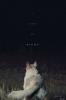 It Comes at Night Movie Poster