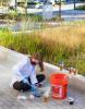 A student takes water samples from a reed bed at the Kendeda Builiding for Innovative Sustainable Design.