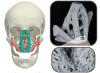 The new materials could have applications for reconstructive surgery and other fields.