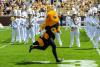 Buzz Runs Across Grant Field