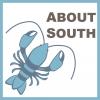 About South Logo