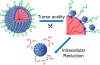 Anti-cancer Cluster Bomb