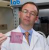 B Kippelen with Solar Cell