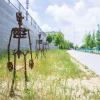 beltline