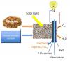 Biomass fuel cell