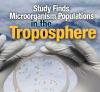 Bugs in Troposhpere