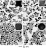 Surface diffusion in nanocatalysts